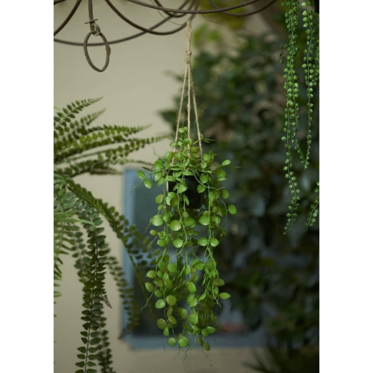 EMERALD Emerald Plante artificielle suspendue Ceropegia 50 cm en pot