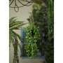 Voir la diapositive 1 : EMERALD Emerald Plante artificielle suspendue Ceropegia 50 cm en pot