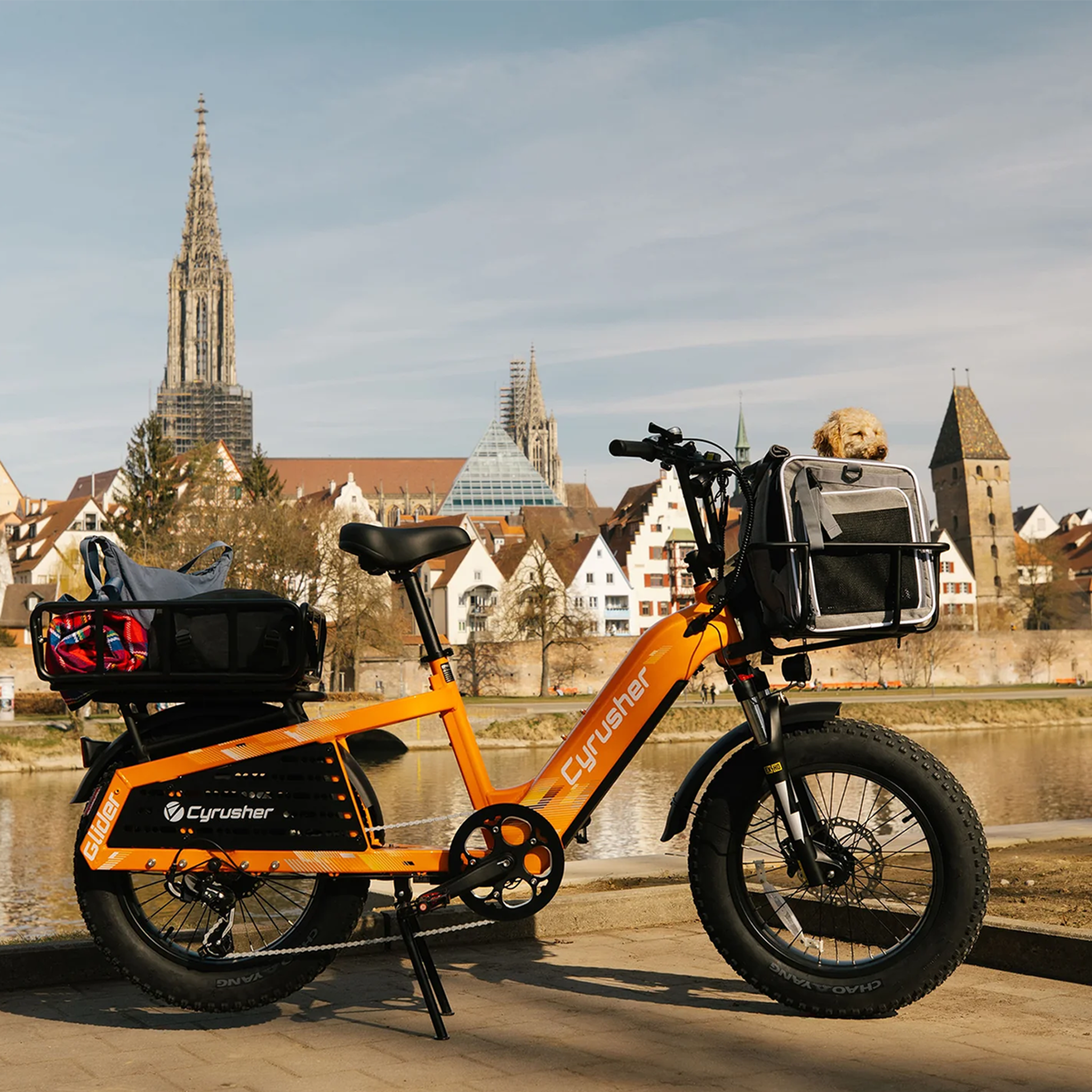 Voir la diapositive 3 : CYRUSHER Vélo cargo électrique Cyrusher Glider