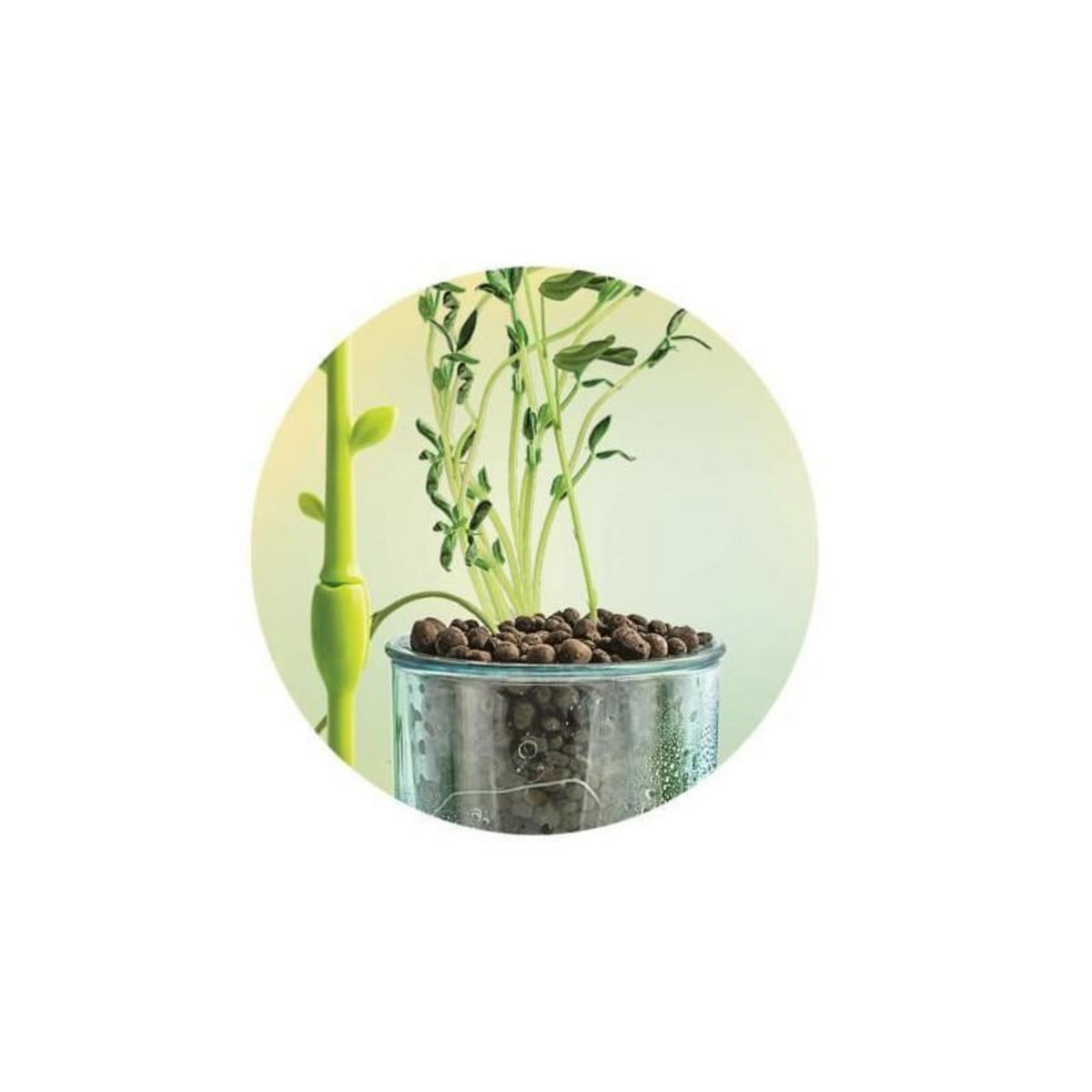 CLEMENTONI Kit Mini Serre Botanique Clementoni éducatif