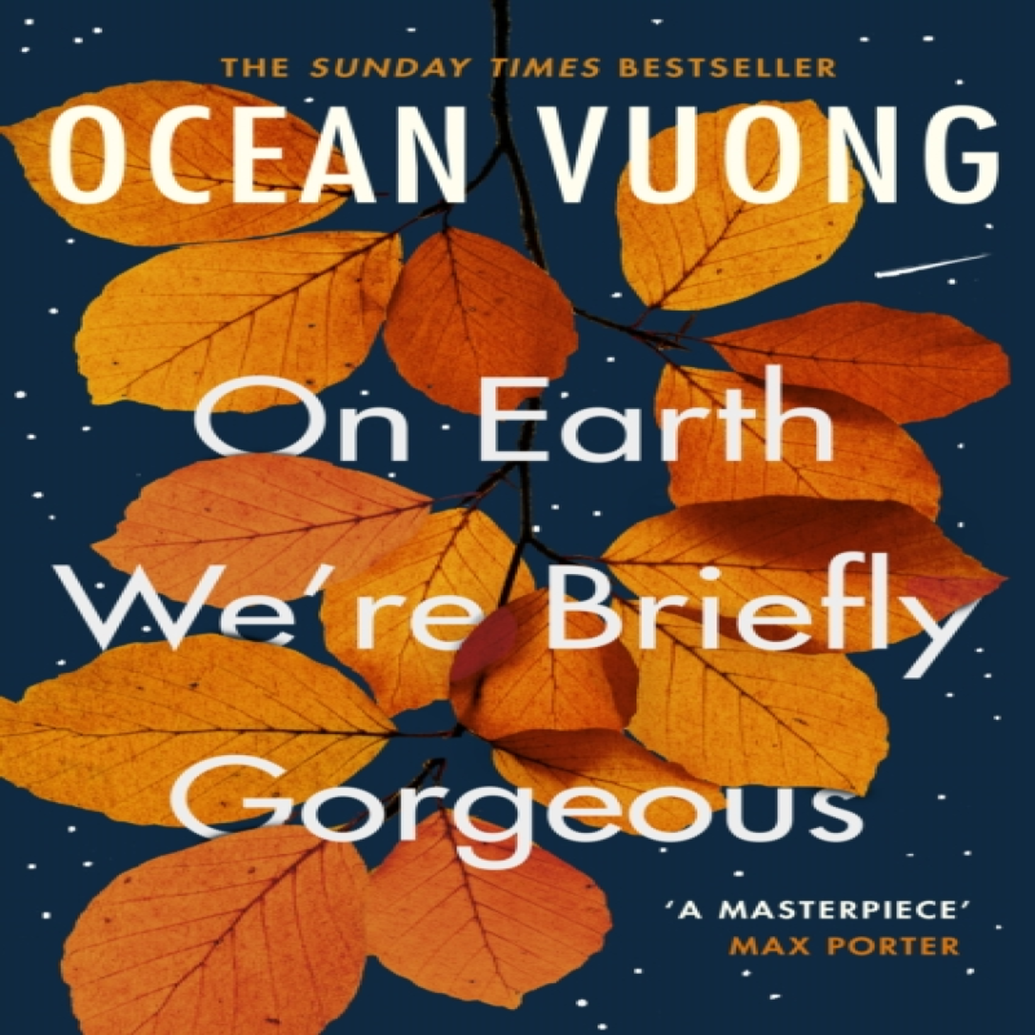 LIVRES On Earth We're Briefly Gorgeous
