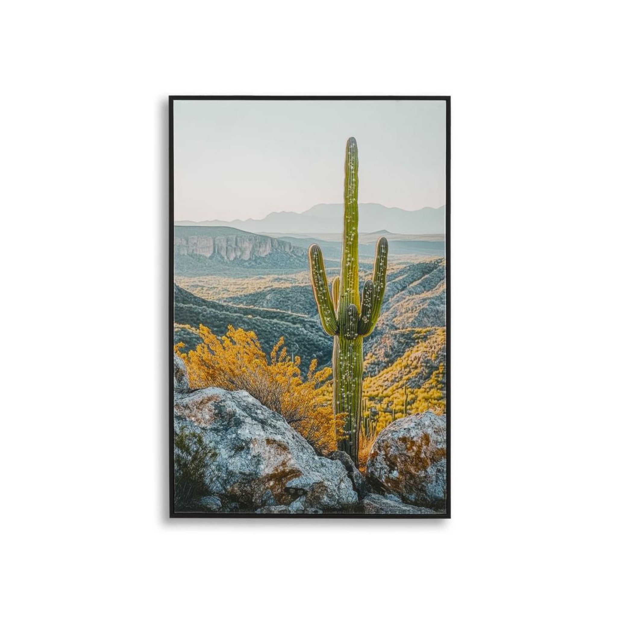 Paris Prix Tableau imprimé  cactus dressé ii  60x90cm multicolore