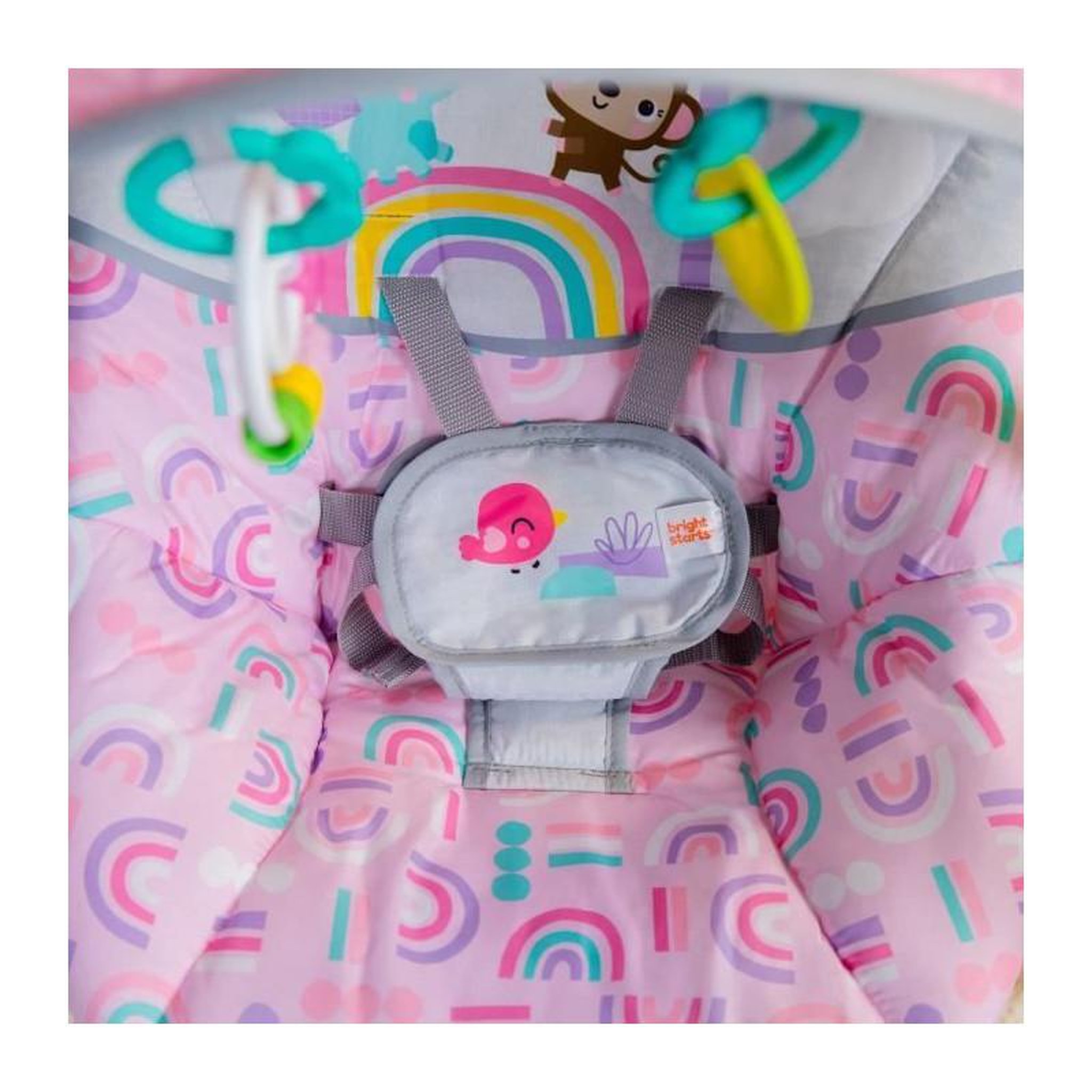 Voir la diapositive 6 : Bright Starts BRIGHT STARTS Balancelle bébé pink paradise, léger et pliable, des la naissance