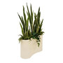 Voir la diapositive 1 : ATMOSPHERA Sansevieria Artificielle en Pot  Sky  163m Vert & Beige