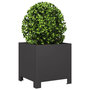 Voir la diapositive 3 : VIDAXL Jardiniere noir 30x30x30 cm acier