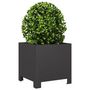 Voir la diapositive 3 : VIDAXL Jardiniere noir 30x30x30 cm acier