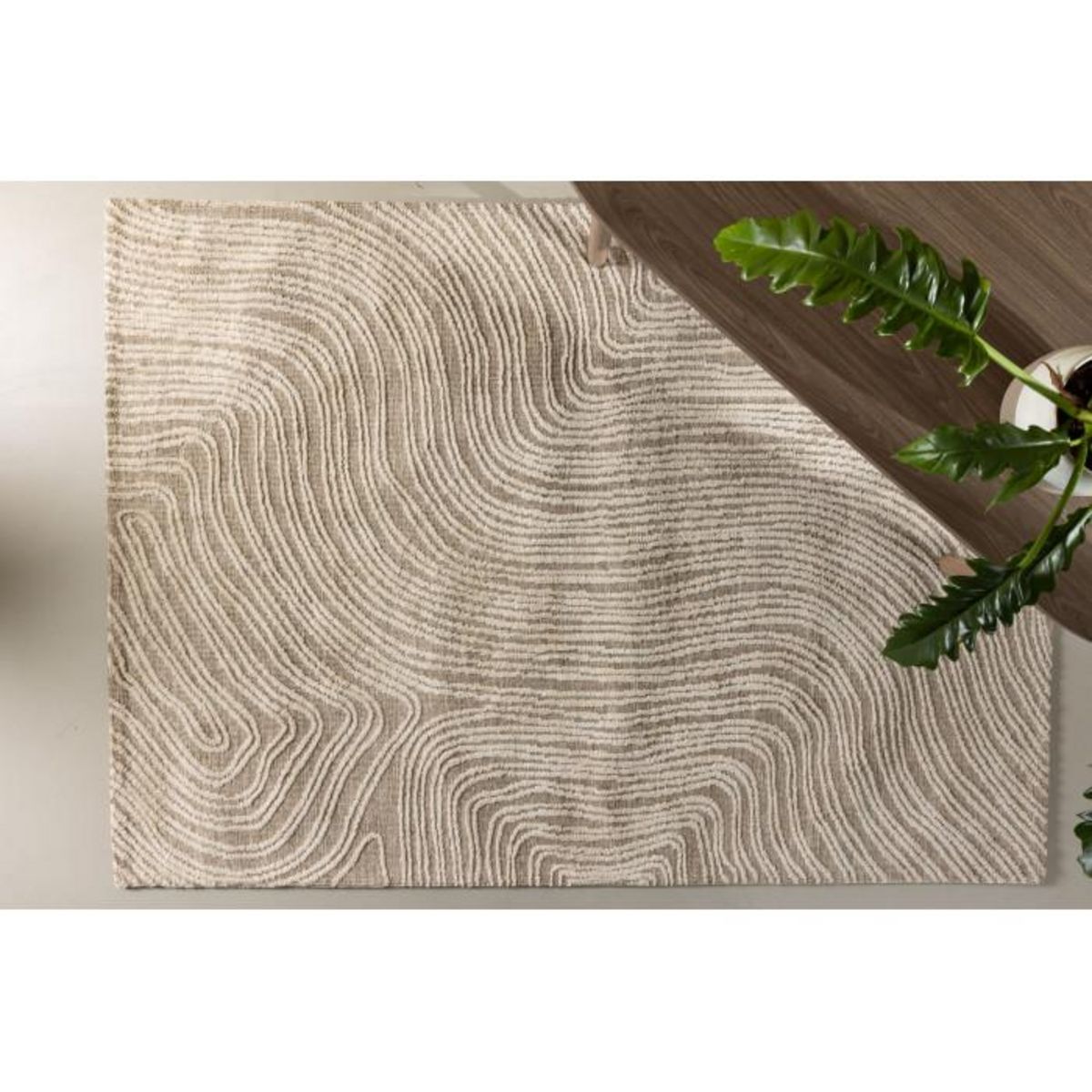 Paris Prix Tapis Déco  Melle  295x395cm Beige