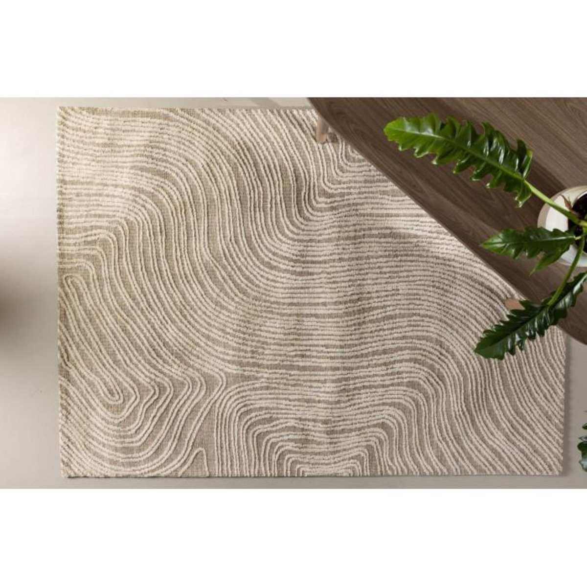 Paris Prix Tapis Déco  Melle  295x395cm Beige