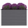 Voir la diapositive 2 : VIDAXL Lit sureleve de jardin WPC 150x100x91 cm Gris