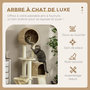 Voir la diapositive 6 : PAWHUT Arbre à chat style cosy chic griffoirs grattoir sisal 2 grandes niches plateforme hamac peluche courte beige jacinthe d'eau