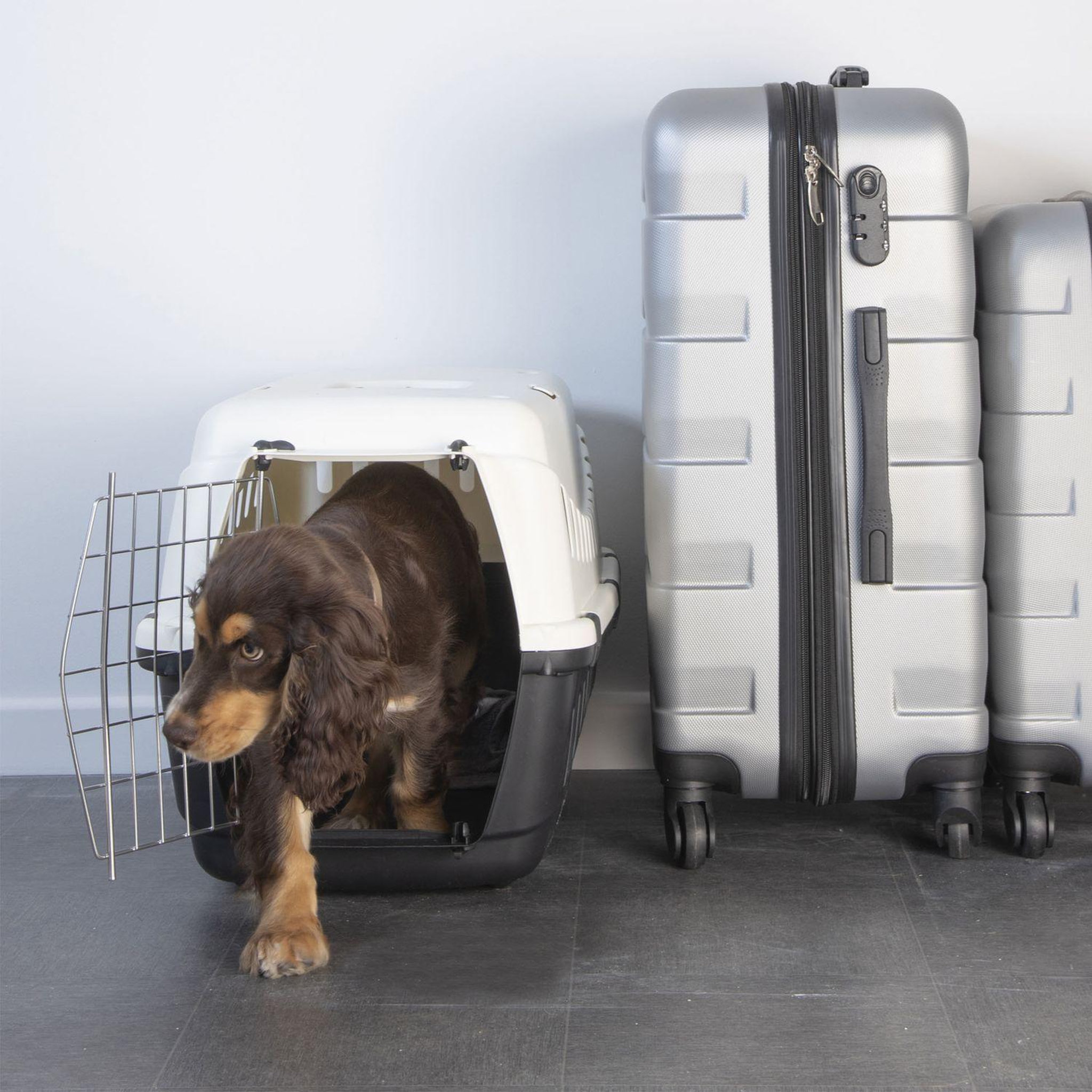Voir la diapositive 2 : LOVE STORY Cage de transport cheester - blanc et gris anthracite