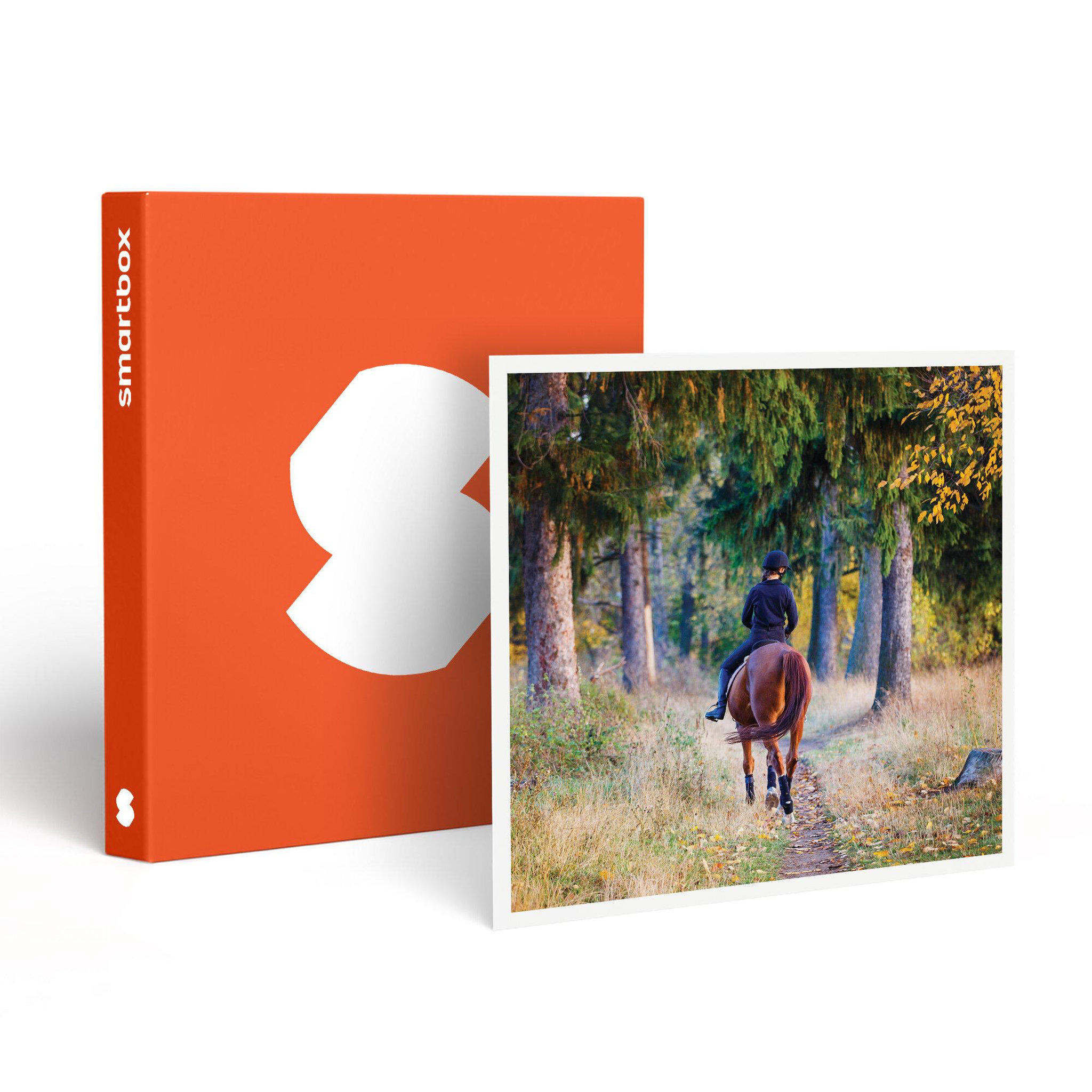 Smartbox Leçon d'équitation ou agréable balade à cheval - coffret cadeau sport & aventure
