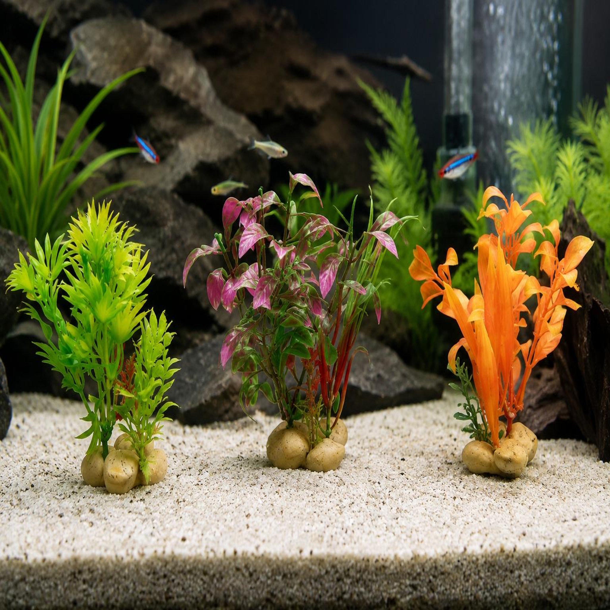 Voir la diapositive 3 : Eden Lot de 3 plantes décoratives pour aquarium