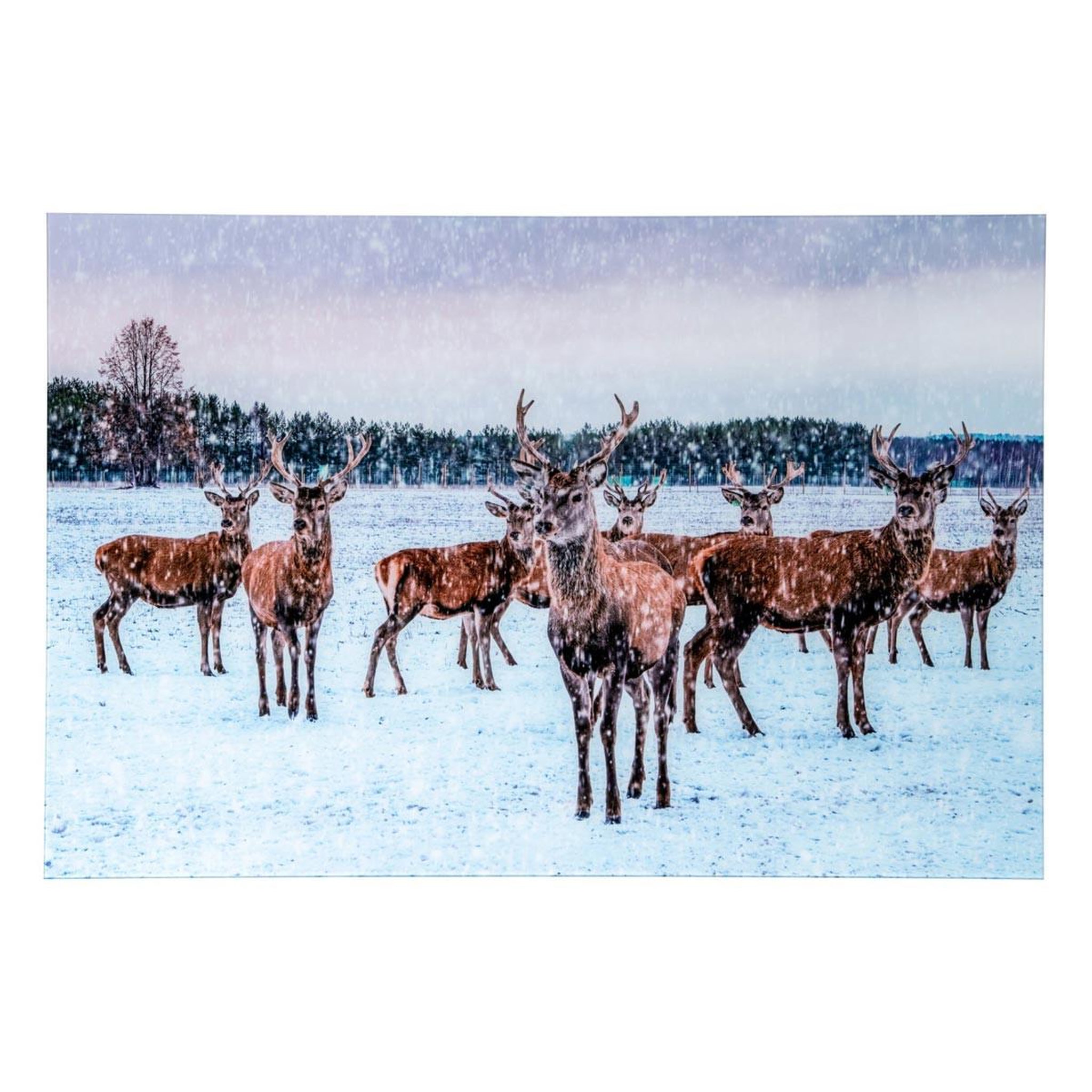 J-LINE Tableau déco en verre  cerfs  80x120cm multicolore
