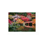 Voir la diapositive 2 : RAVENSBURGER Ravensburger - Jigsaw puzzle Daigo-Ji, Kyoto, Japan, 1000 pcs. 12000849 1