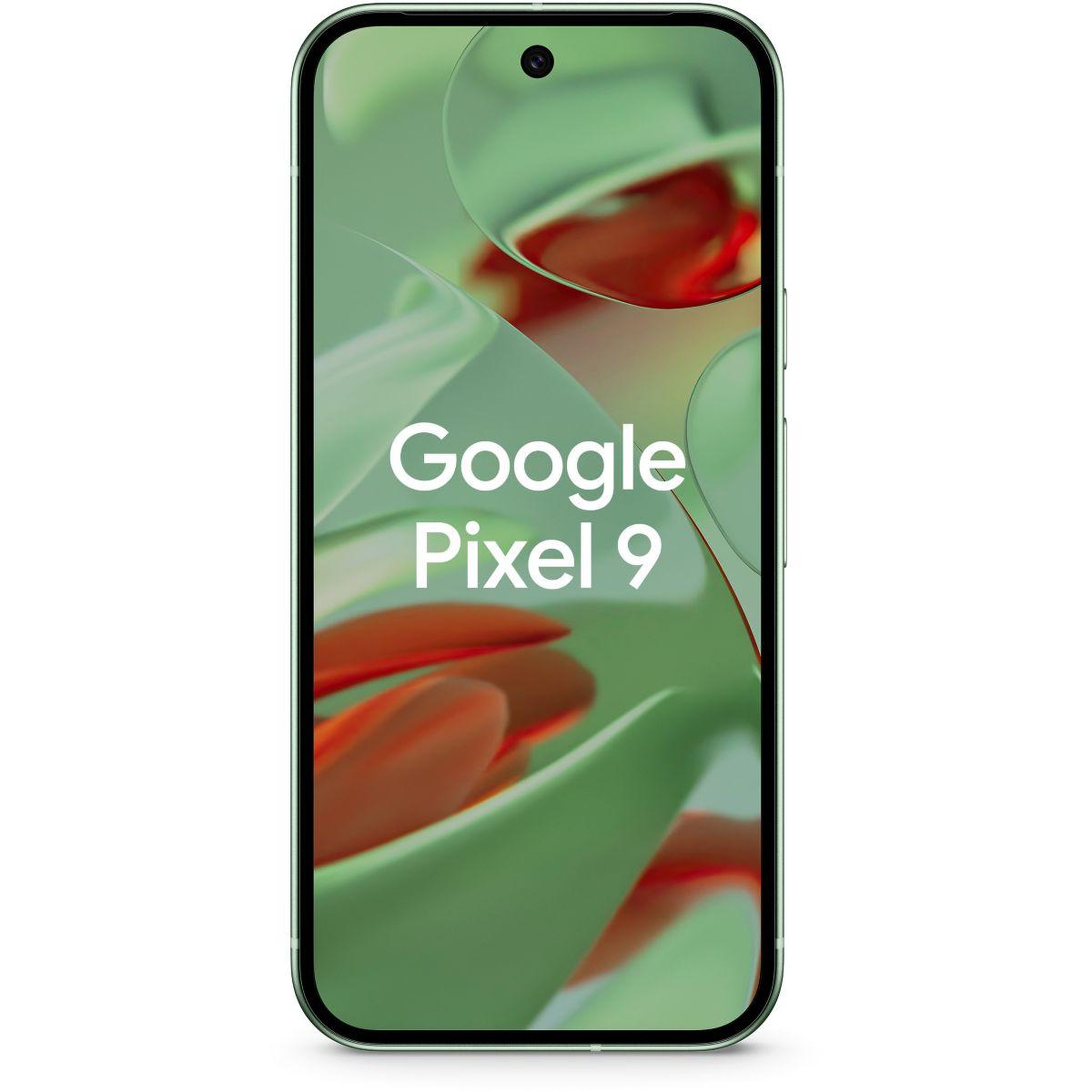 Voir la diapositive 2 : GOOGLE Smartphone Pixel 9 Vert Amande 256Go