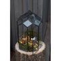 Voir la diapositive 3 : Paris Prix Terrarium en Verre Vintage  Brisla  38cm Noir