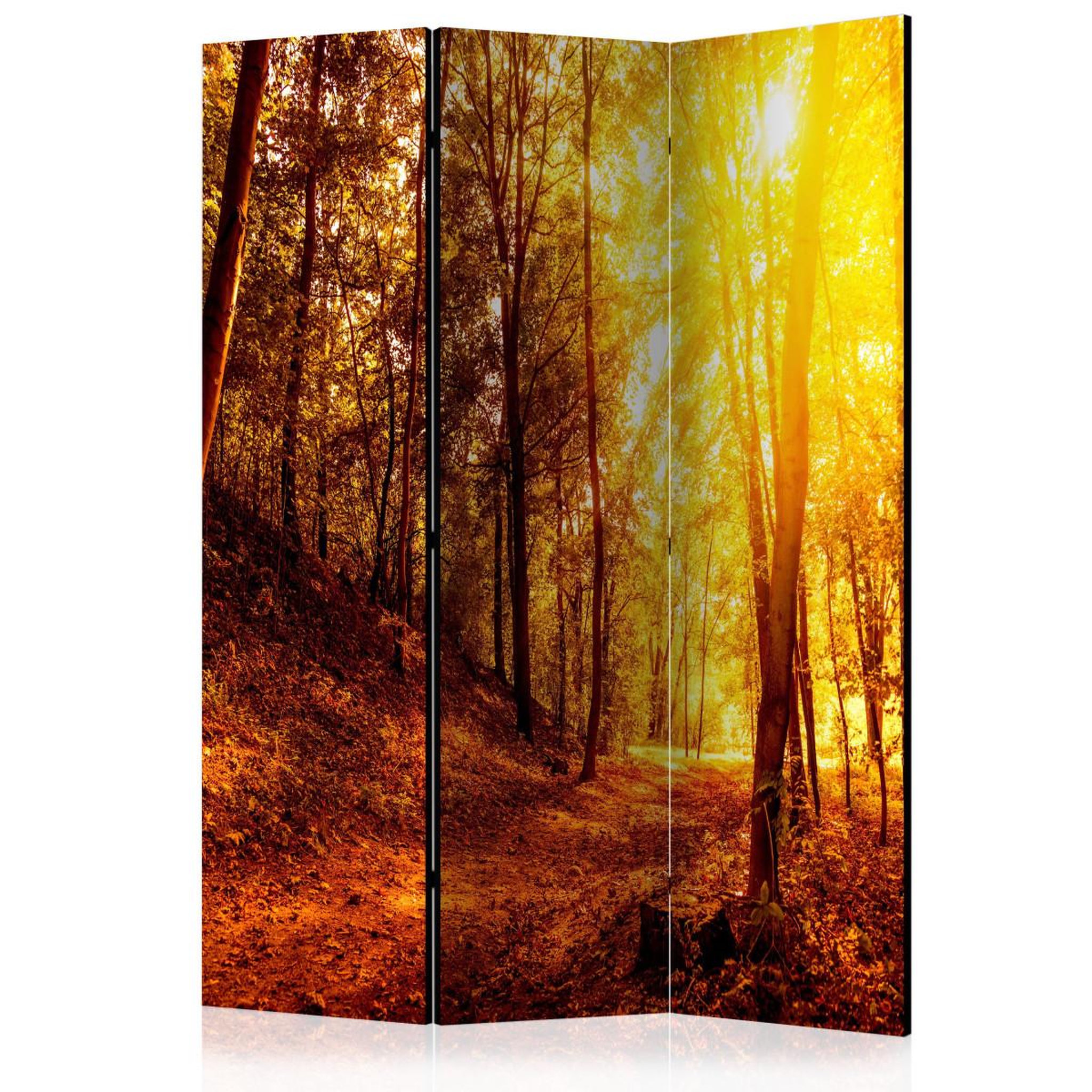 Paris Prix Paravent 3 volets  autumn walk  135x172cm