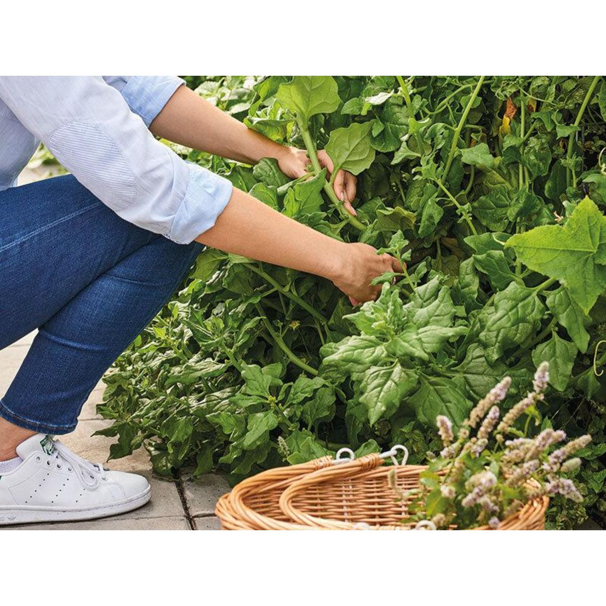 Smartbox Mon potager à Paris - Coffret Cadeau Multi-thèmes