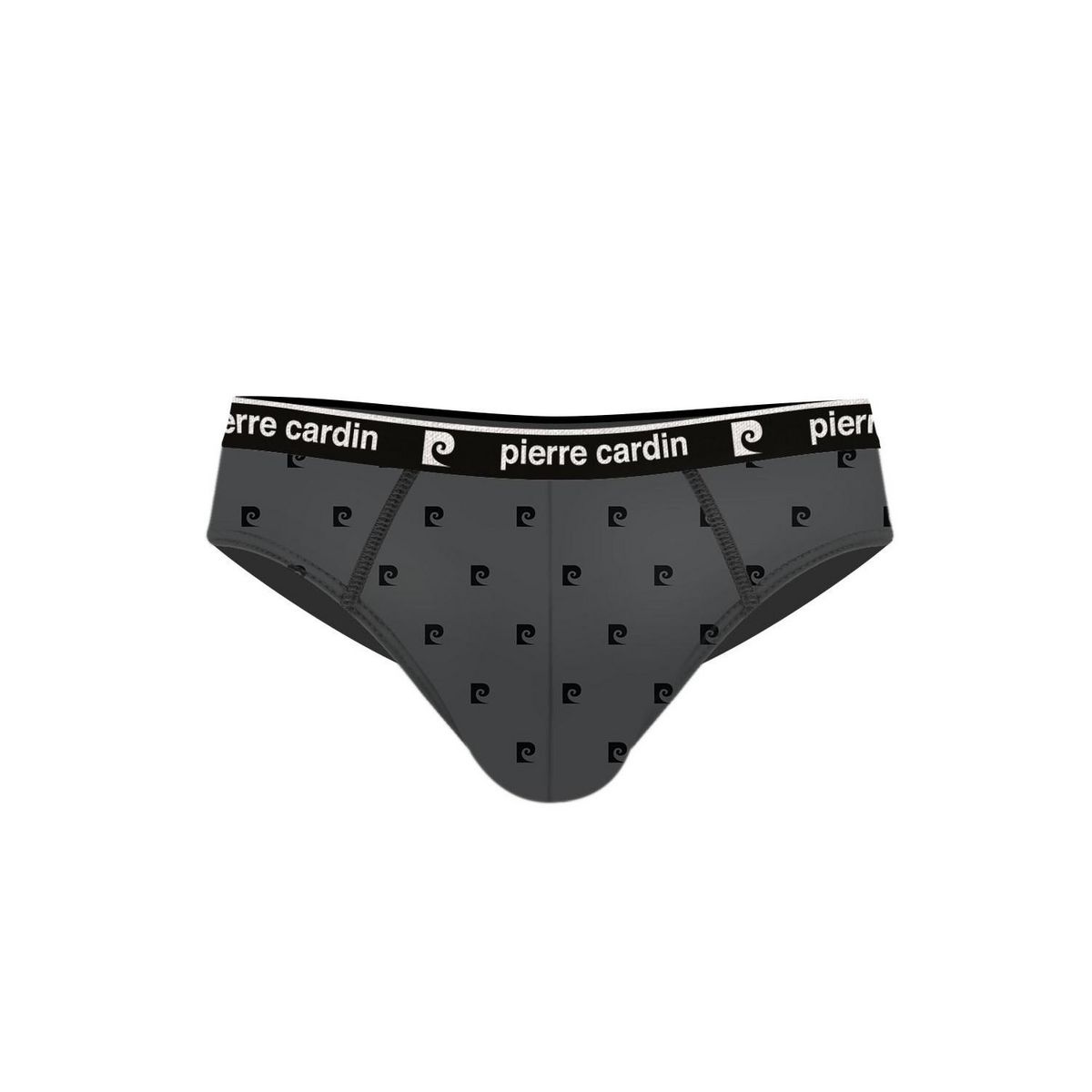 PIERRE CARDIN Lot de 4 slips homme Class