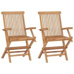 VIDAXL Chaises de jardin pliables lot de 2 Bois de teck massif