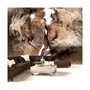 Voir la diapositive 1 : Paris Prix Papier Peint  Hidden Love