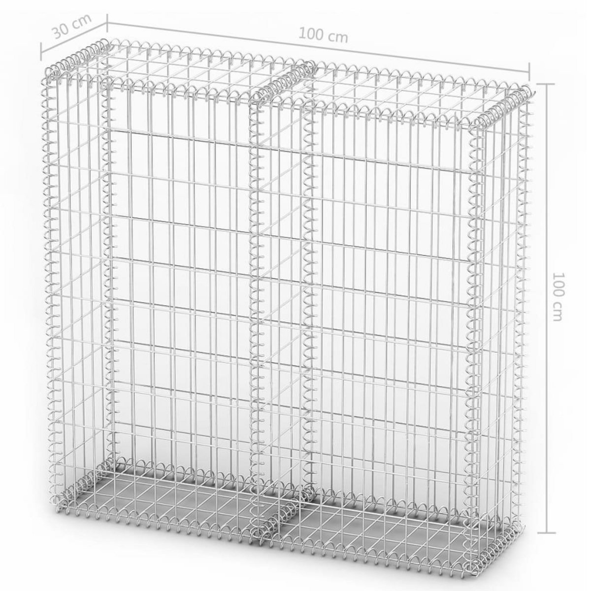 VIDAXL Panier de gabion avec couvercle Fil galvanise 100x100x30 cm