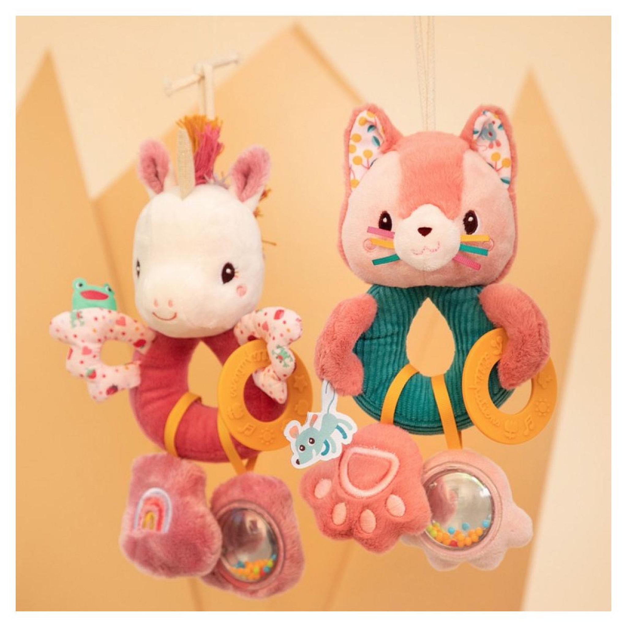 Voir la diapositive 2 : LILLIPUTIENS Jeanne le chat Anneaux multiactivites