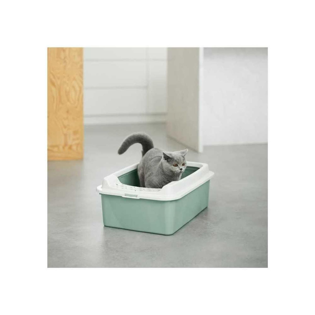 ROTHO Bac a litiere avec rebords - ROTHO MYPET - BONNIE - 57.2 x 39.3 x 20.9 cm - Vert
