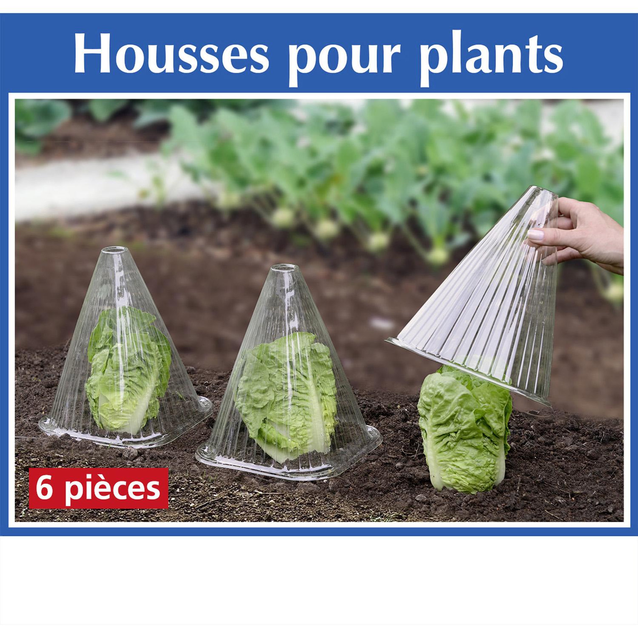Voir la diapositive 2 : Wenko 6 Housses pour plants