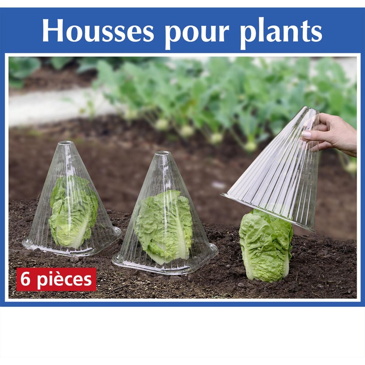 Wenko 6 Housses pour plants