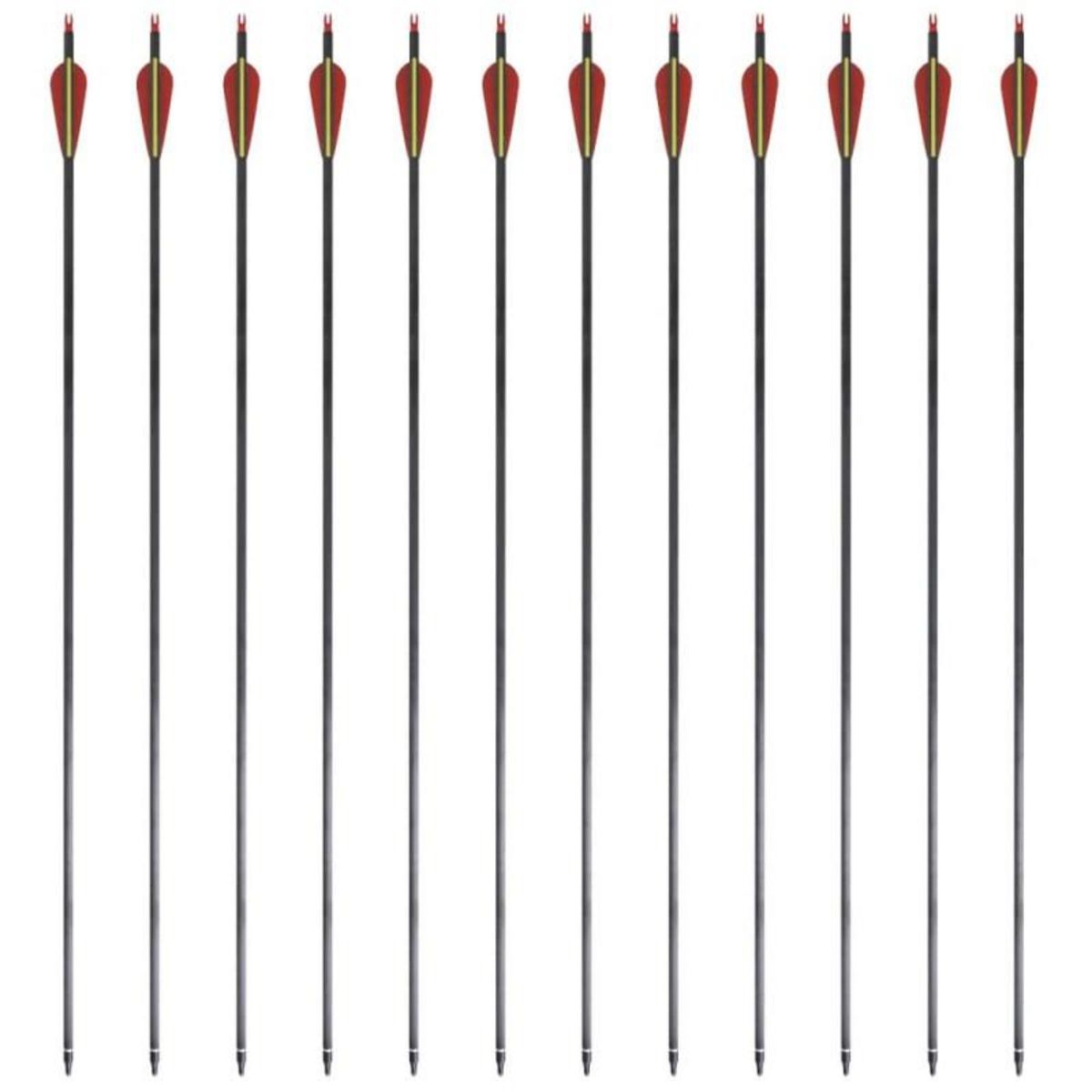 VIDAXL Flèche d arc recourbé standard 12 pcs 30 0,76 cm carbone