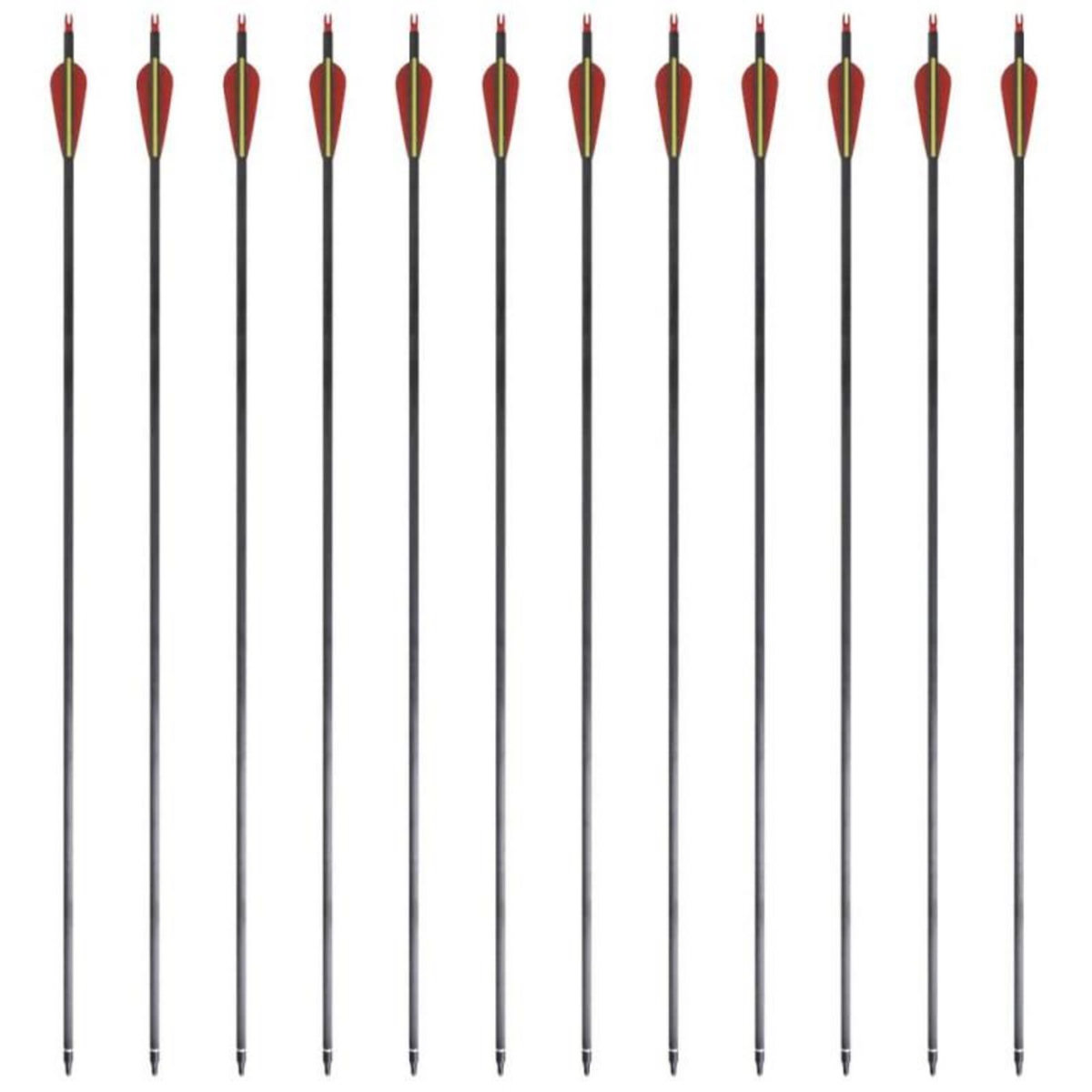 VIDAXL Flèche d arc recourbé standard 12 pcs 30 0,76 cm carbone