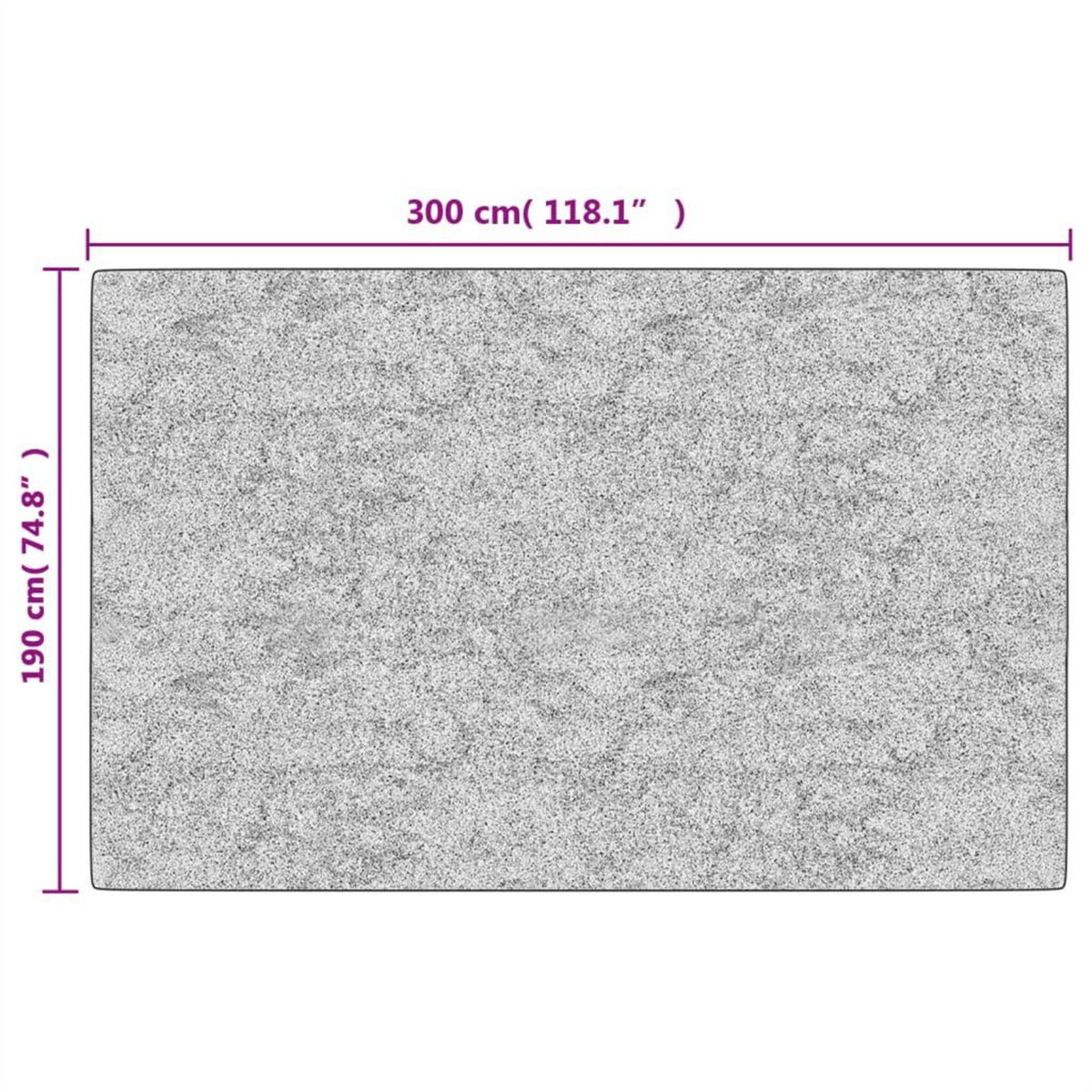 VIDAXL Tapis lavable antiderapant 190x300 cm gris