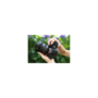 Voir la diapositive 5 : Tamron Objectif zoom Tamron. 20 40mm F 2,8 Di III VXD pour Sony FE