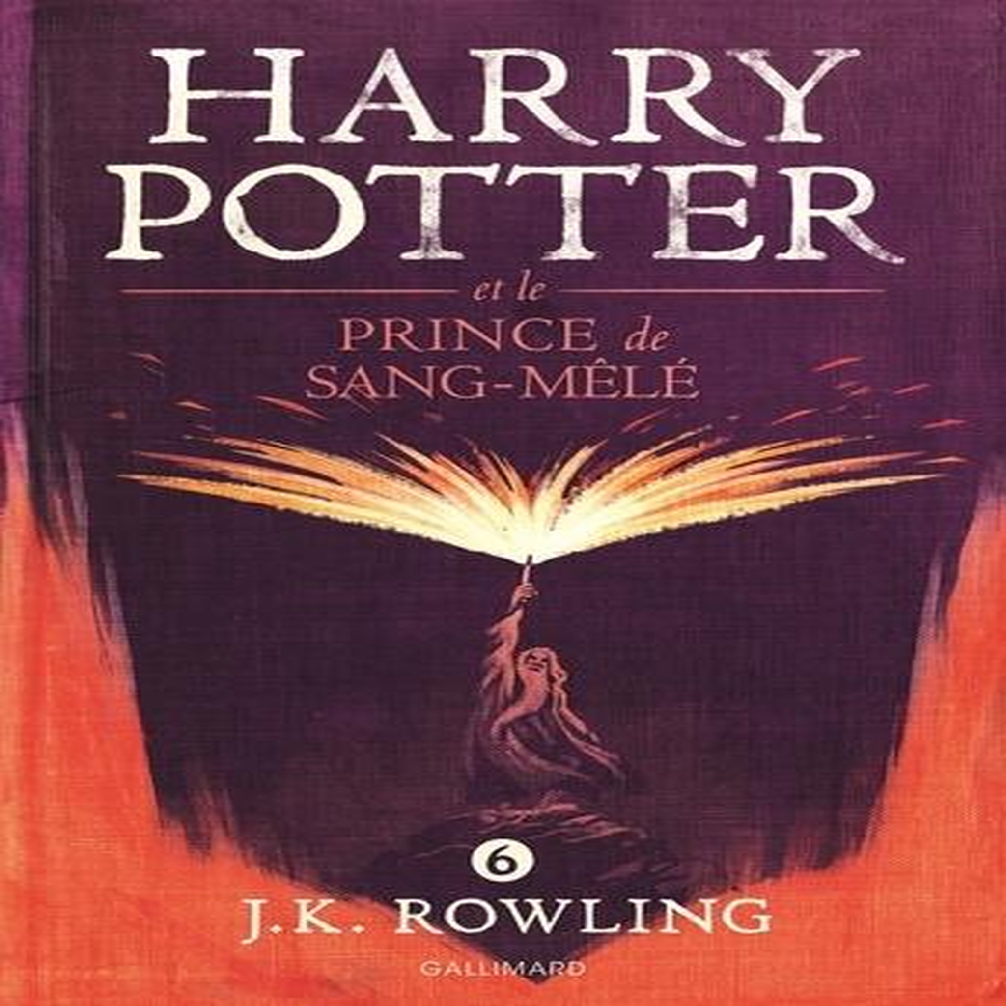 HARRY POTTER TOME 6 : HARRY POTTER ET LE PRINCE DE SANG-MELE, Rowling J.K.