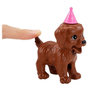 Voir la diapositive 3 : BARBIE Coffret Barbie Anniversaire des chiens
