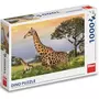 DINO Puzzle 1000 pièces : Famille Girafe