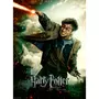 RAVENSBURGER Puzzle 100 pièces XXL : Le monde fantastique d'Harry Potter