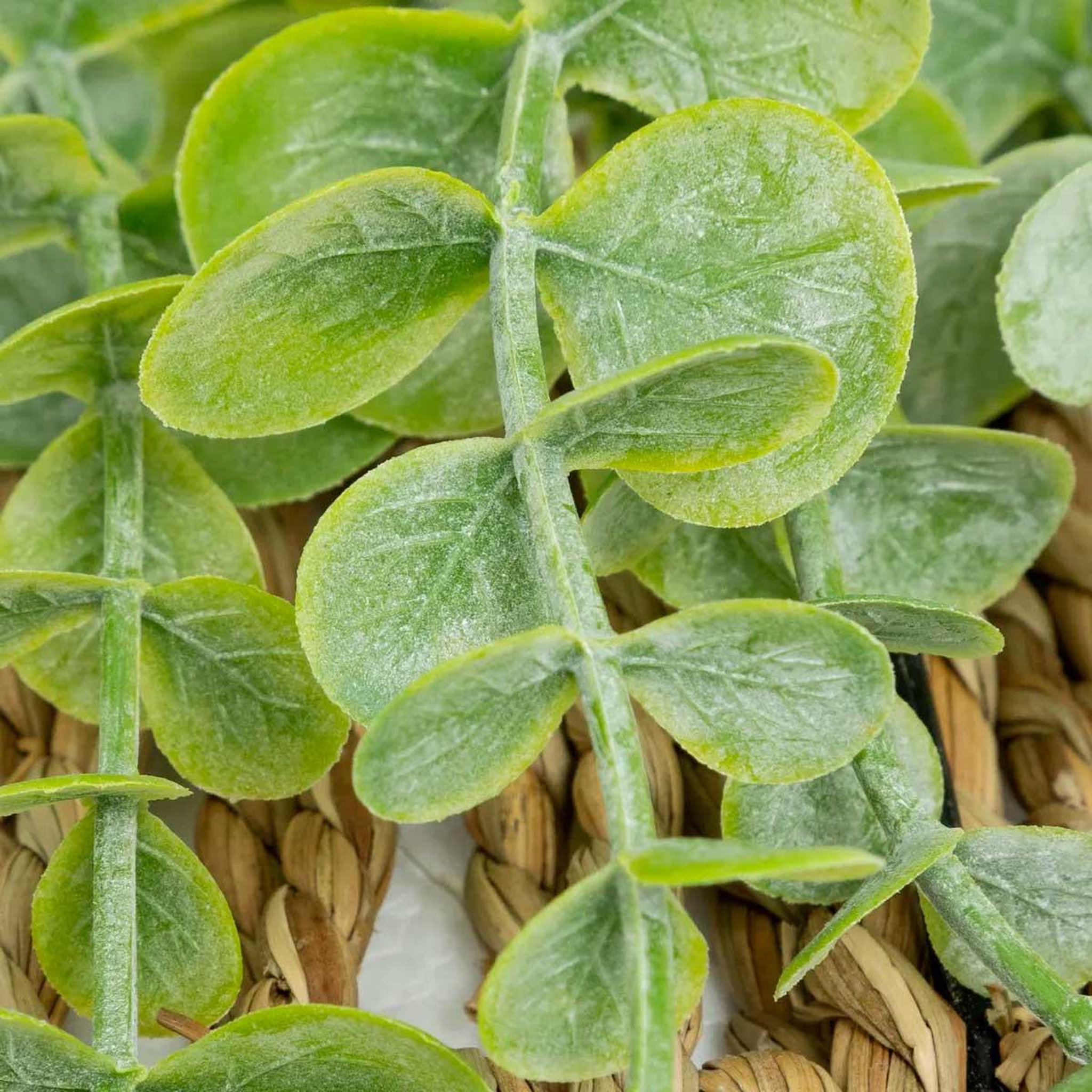 Voir la diapositive 3 : ATMOSPHERA Eucalyptus artificiel à suspendre  zéa  70cm naturel