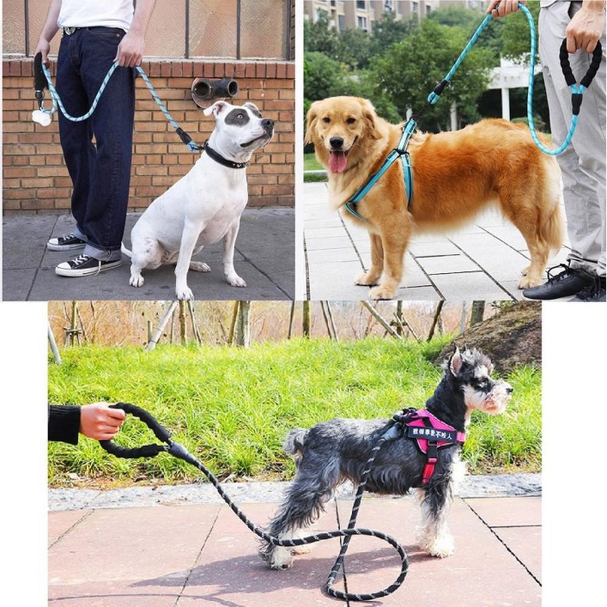 Voir la diapositive 5 : Laisse pour chien rouge 1,5 m en nylon avec poignée EVA réfléchissante et mousqueton pivotant 360°