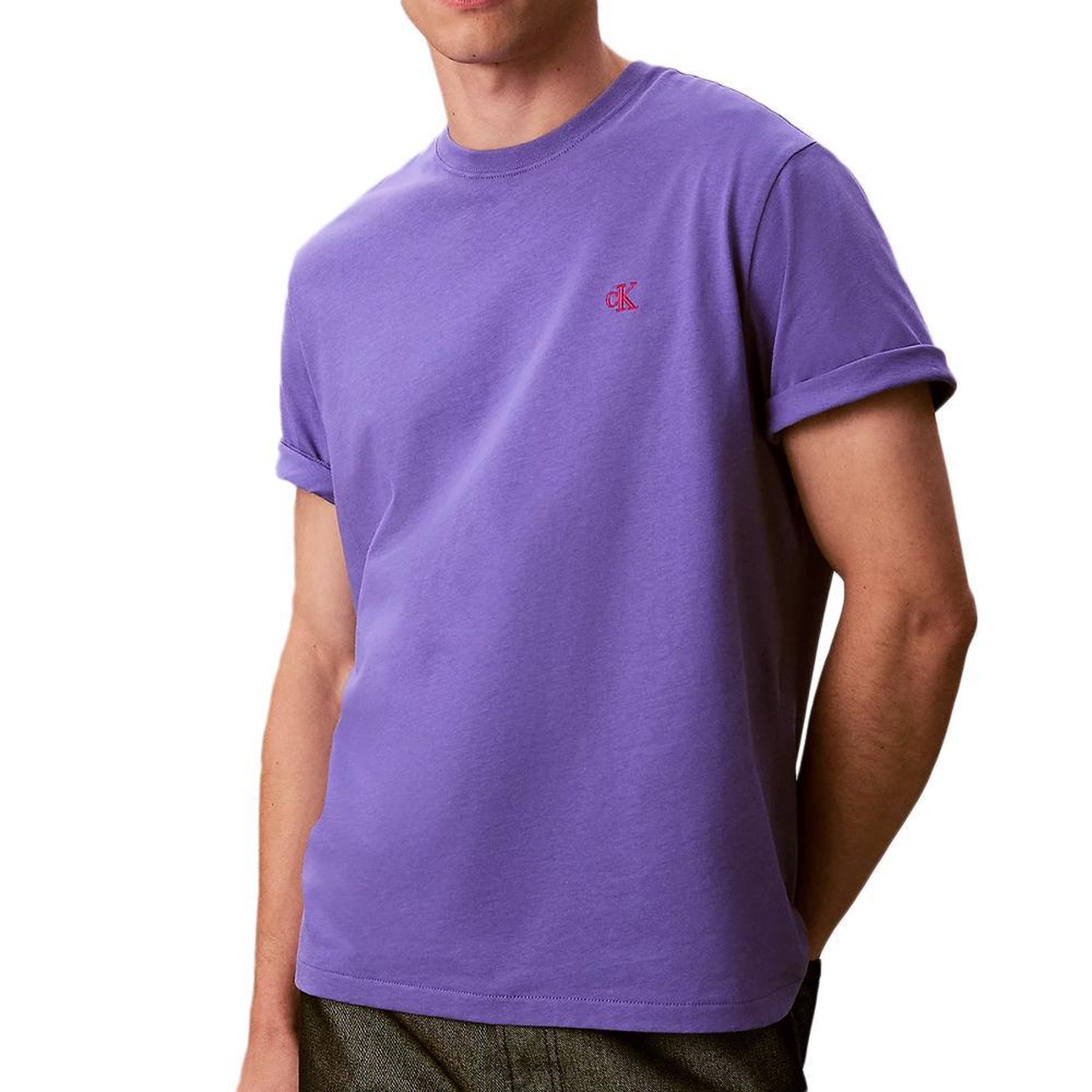 Voir la diapositive 1 : CALVIN KLEIN JEANS T-Shirt Violet Homme Calvin Klein Jeans Easy LV04RC275G