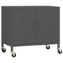 Voir la diapositive 2 : VIDAXL Armoire de rangement Anthracite 60x35x56 cm Acier