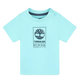 Bleu turquoise
