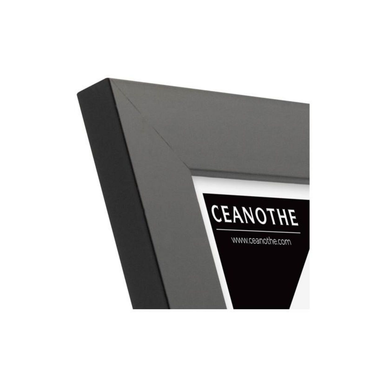 CEANOTHE Cadre Ceanothe CADRE 13X18 ETERNEL NOIR