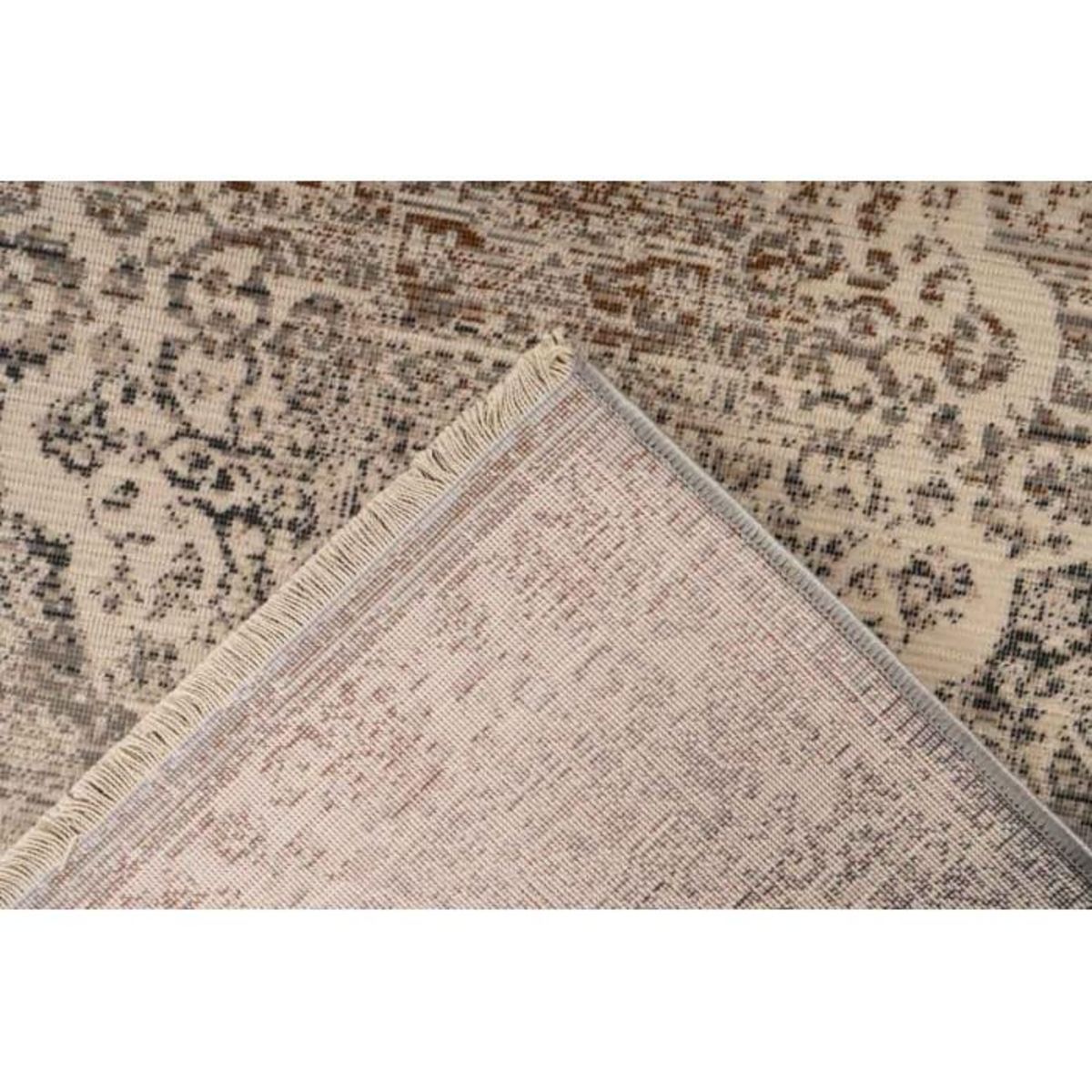 Paris Prix Tapis Tissé Oriental à Poils Plats  Charu III  Beige