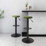 Voir la diapositive 1 : VIDAXL Tabourets de bar lot de 2 vert clair velours
