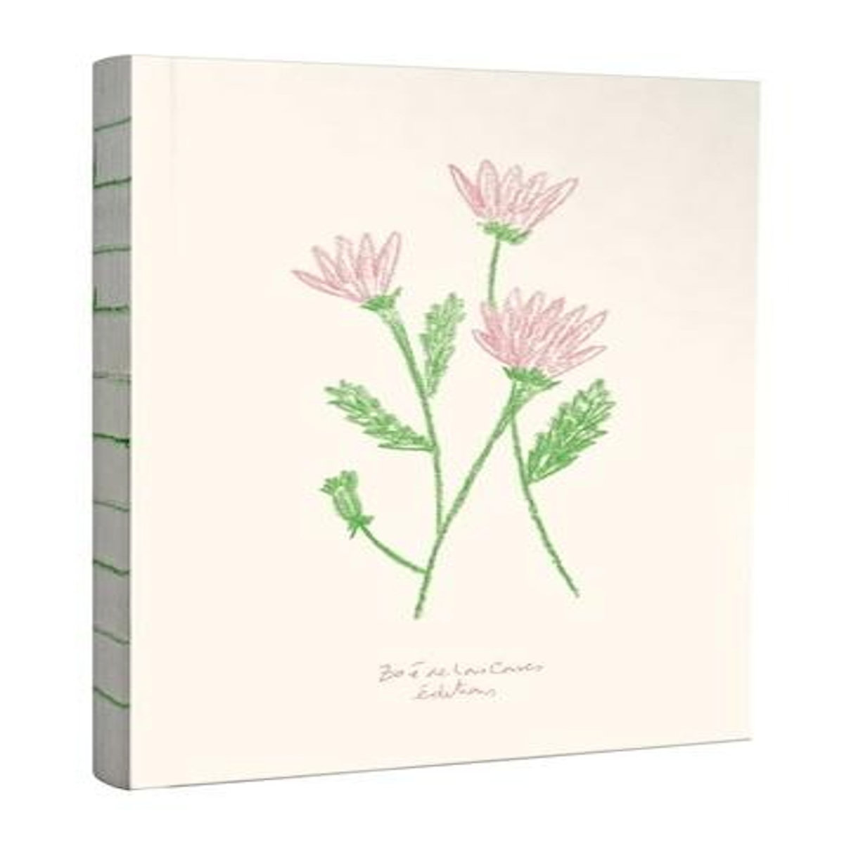 CARNET MOYEN FLEURS, Las Cases Zoé de