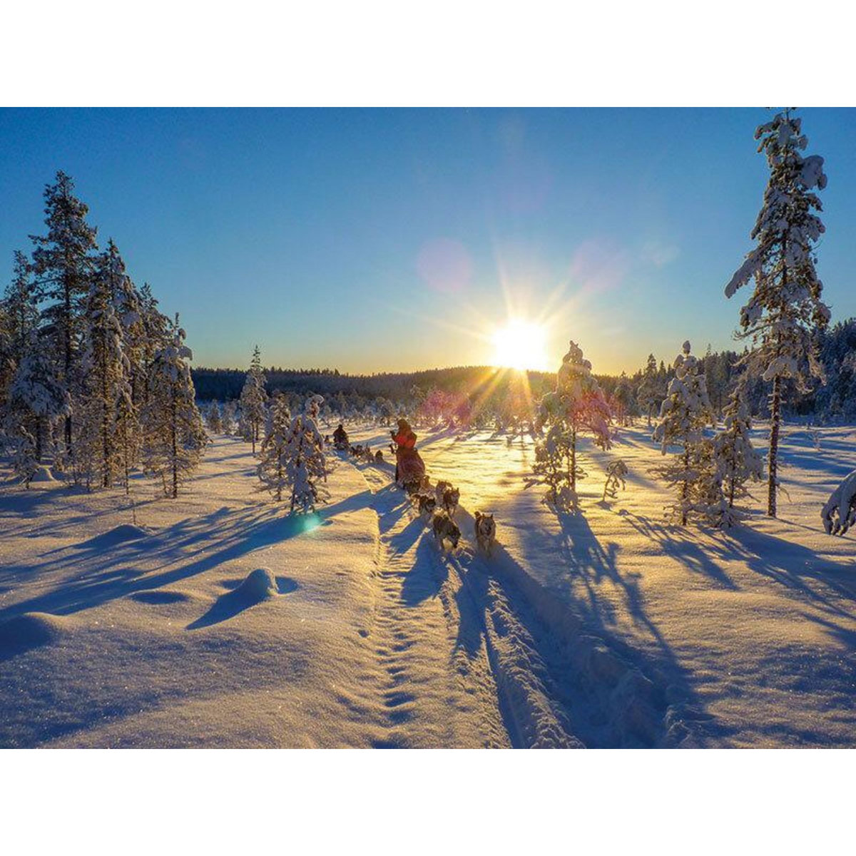Smartbox 3 jours en Suède avec balade en chiens de traîneau et observation des aurores boréales - Coffret Cadeau Séjour