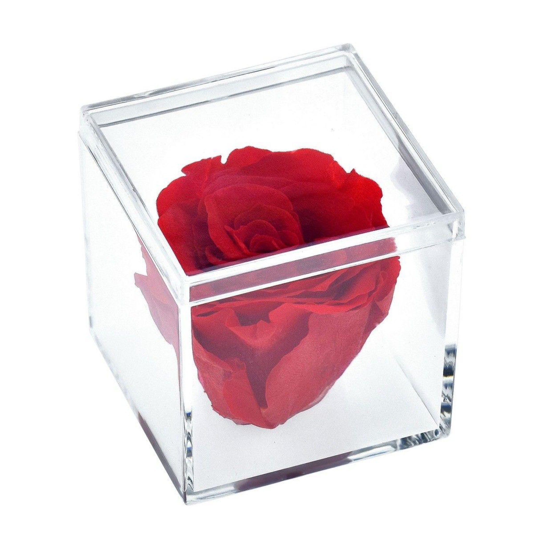 Voir la diapositive 1 : SC CRYSTAL Ecrin décoré d'une rose éternelle stabilisée - rouge